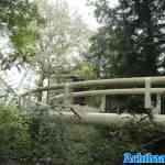 efteling-06-09-2024-068.jpg