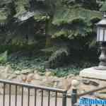 efteling-06-09-2024-117.jpg