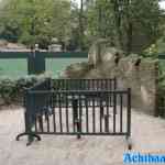 efteling-15-09-2024-016.jpg