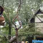 efteling-15-09-2024-100.jpg