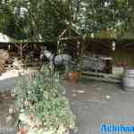 sprookjeswonderland-17-08-2024-131.jpg