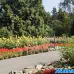 sprookjeswonderland-17-08-2024-133.jpg
