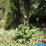 sprookjeswonderland-17-08-2024-134.jpg