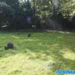 sprookjeswonderland-17-08-2024-136.jpg