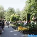sprookjeswonderland-17-08-2024-151.jpg