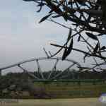 img-0140.jpg