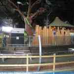 img-2387.jpg