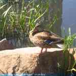 img-5039.jpg