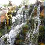 img-5051.jpg