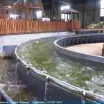img-5057.jpg