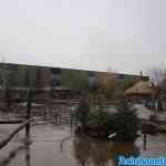 toverland-25-12-2023-061.jpg