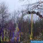 toverland-25-12-2023-192.jpg