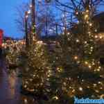 toverland-25-12-2023-248.jpg