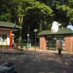 img-0693.jpg