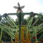 img-0715.jpg
