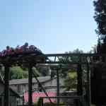img-0722.jpg