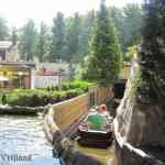 img-0739.jpg
