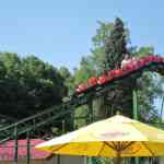 img-0743.jpg