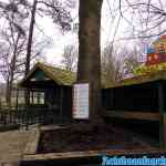waarbeek-04-03-2020-002.jpg