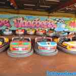 waarbeek-04-03-2020-006.jpg
