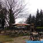 waarbeek-04-03-2020-015.jpg