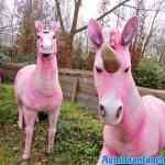 waarbeek-04-03-2020-037.jpg