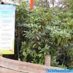 waarbeek-18-09-2021-030.jpg