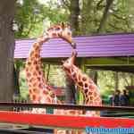 waarbeek-18-09-2021-046.jpg