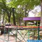 waarbeek-18-09-2021-050.jpg