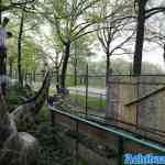 waarbeek-05-05-2023-008.jpg