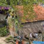 waarbeek-05-05-2023-066.jpg
