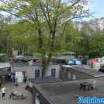 waarbeek-05-05-2023-111.jpg