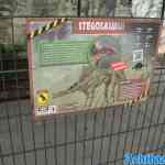 waarbeek-05-05-2023-140.jpg