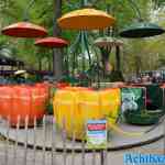 waarbeek-05-05-2023-168.jpg