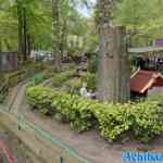 waarbeek-05-05-2023-191.jpg