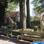 waarbeek-21-09-2024-004.jpg