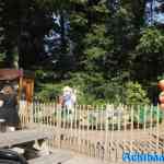 waarbeek-21-09-2024-007.jpg