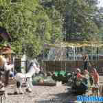 waarbeek-21-09-2024-011.jpg