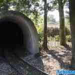waarbeek-21-09-2024-038.jpg