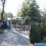waarbeek-21-09-2024-040.jpg