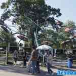 waarbeek-21-09-2024-058.jpg