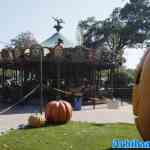 waarbeek-21-09-2024-068.jpg