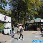 waarbeek-21-09-2024-069.jpg
