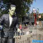 waarbeek-21-09-2024-071.jpg