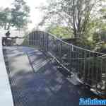 waarbeek-21-09-2024-099.jpg