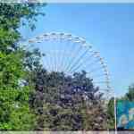 img-0386.jpg