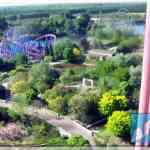 img-0414.jpg