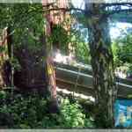 img-0459.jpg