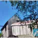 img-0572.jpg