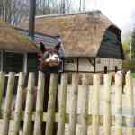 img-0172.jpg